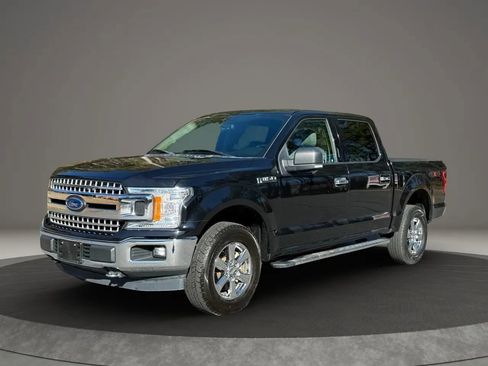 Used 2019 Ford F150 XLT w/ Equipment Group 302A Luxury image 1