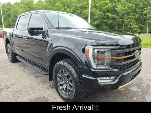 Used 2023 Ford F150 Tremor w/ Equipment Group 402A High AWD/4WD image 2