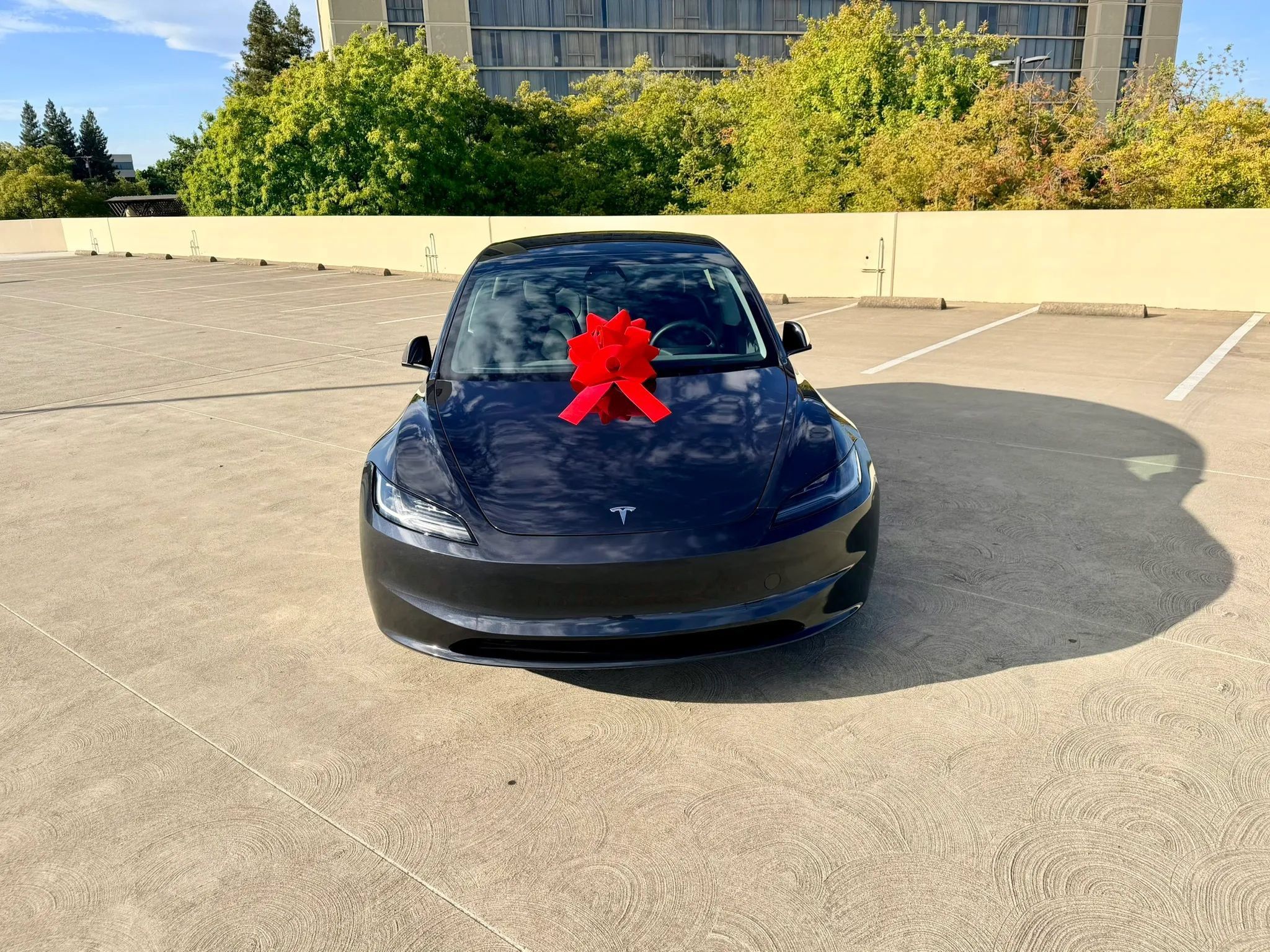 Used 2025 Tesla Model 3 Long Range RWD image 6