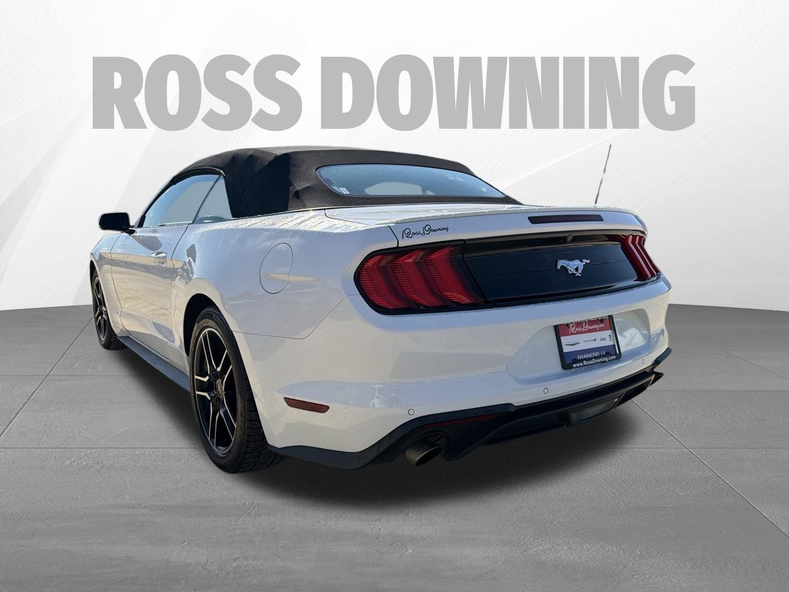 Used 2022 Ford Mustang Premium RWD image 6
