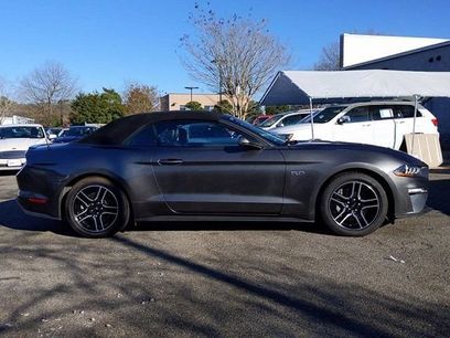 Used 2019 Ford Mustang GT Premium w/ Equipment Group 401A