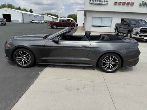 Used 2017 Ford Mustang Premium RWD image 4