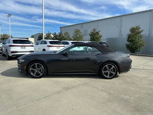 Used 2024 Ford Mustang Premium image 6