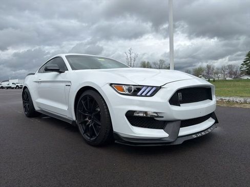 Used 2016 Ford Mustang Shelby GT350 w/ Technology Package image 1