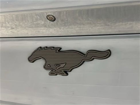 Used 2023 Ford Mustang Mach-E Premium w/ Mustang Nite Pony Package image 30