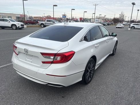 Used 2022 Honda Accord EX-L image 6