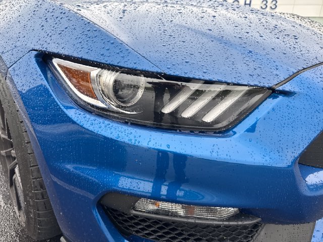 Used 2017 Ford Mustang Shelby GT350 RWD image 12