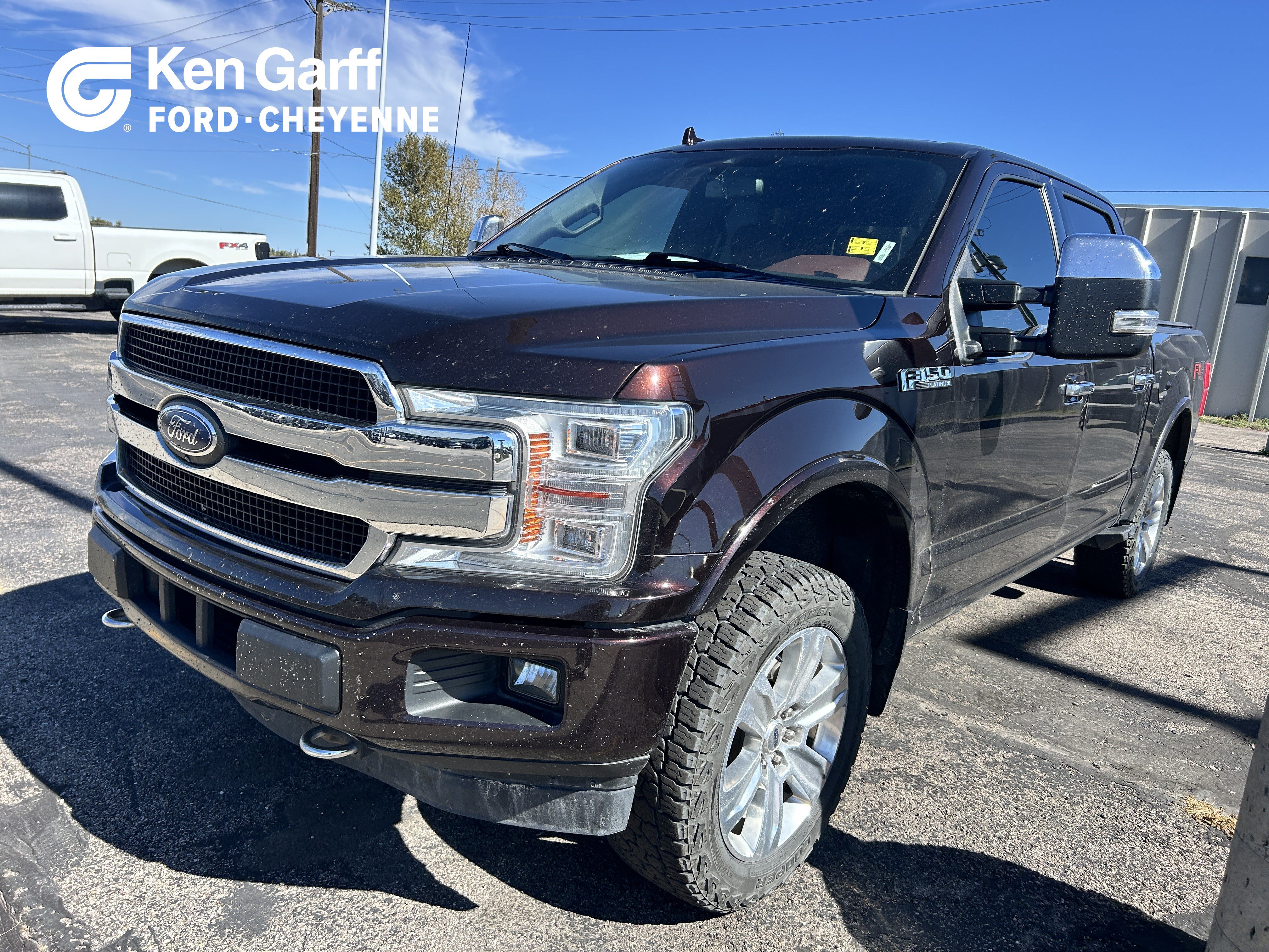 Used 2019 Ford F150 Platinum w/ Equipment Group 701A Luxury AWD/4WD image 1