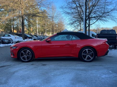 Used 2024 Ford Mustang Premium image 3