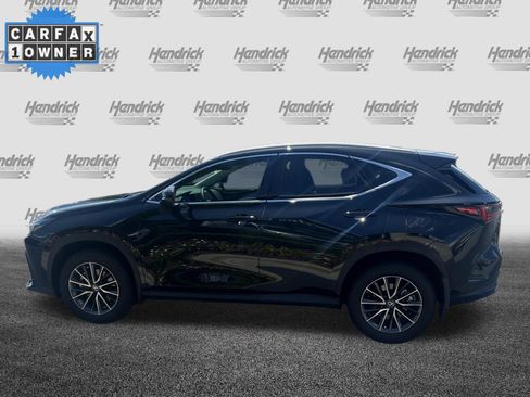 Used 2025 Lexus NX 350 AWD w/ Accessory Package (2T) image 7