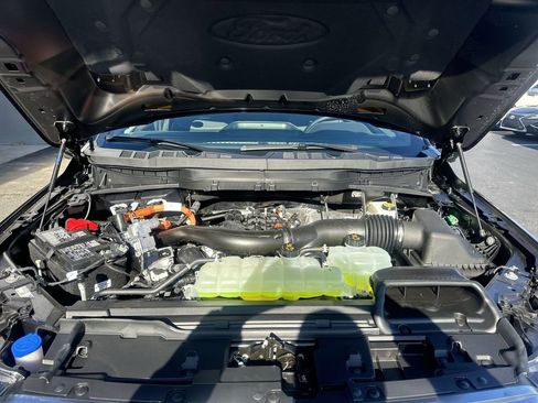 New 2026 Ford F150 Platinum w/ Equipment Group 701A Base image 31