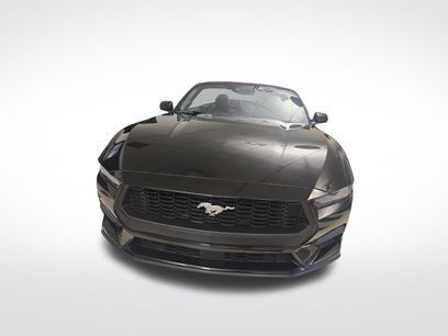 Used 2026 Ford Mustang Convertible