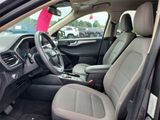 Used 2020 Ford Escape SE image 6