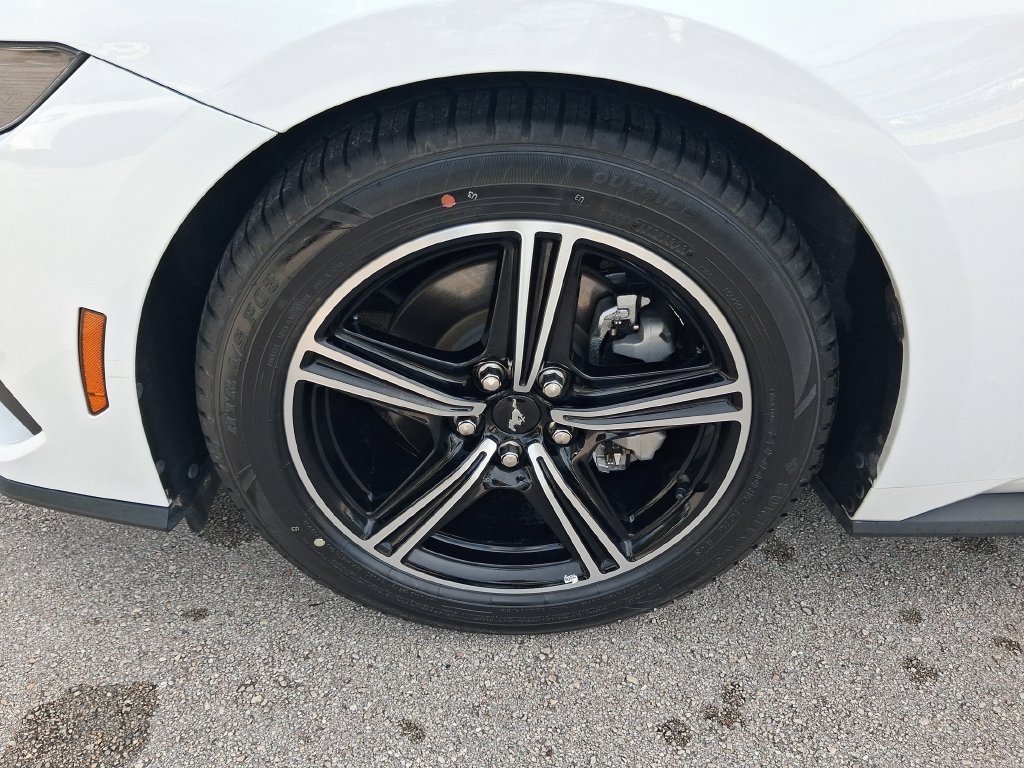 Used 2025 Ford Mustang Premium RWD image 12