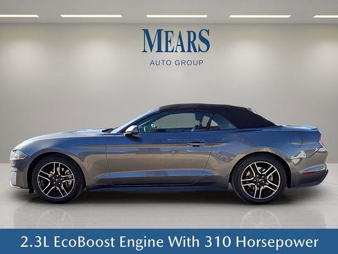 Used 2023 Ford Mustang Premium image 3