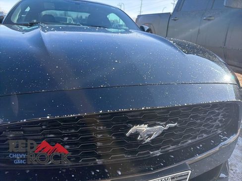 Used 2015 Ford Mustang EcoBoost w/ Enhanced Security Package image 31