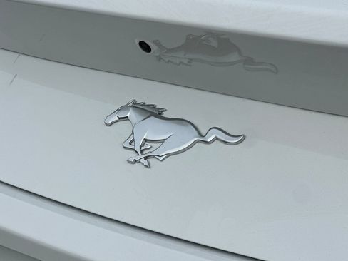 New 2026 Ford Mustang Coupe image 24