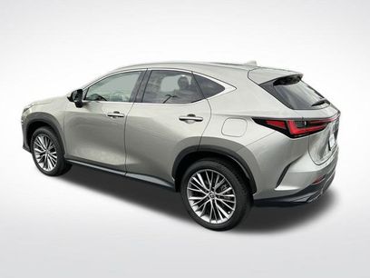Used 2025 Lexus NX 350 AWD w/ Cold Area Package
