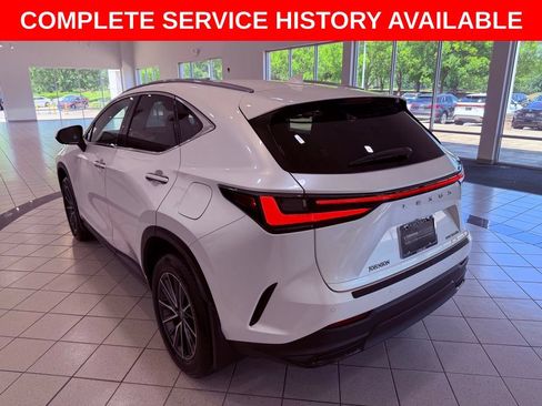 Certified 2025 Lexus NX 350h AWD w/ Accessory Package (K3) image 5