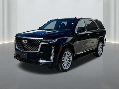 Used 2024 Cadillac Escalade Luxury
