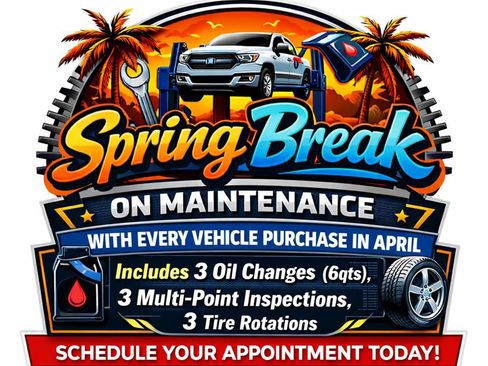 Used 2020 Ford Expedition XLT w/ Equipment Group 202A image 2