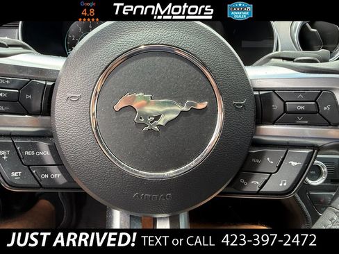 Used 2018 Ford Mustang Premium w/ Equipment Group 201A RWD image 15