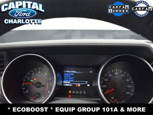 Used 2022 Ford Mustang Coupe w/ Equipment Group 101A image 12