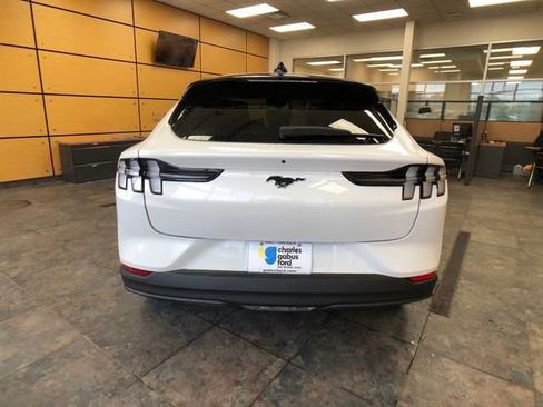 New 2025 Ford Mustang Mach-E Premium w/ Interior Protection Package image 6