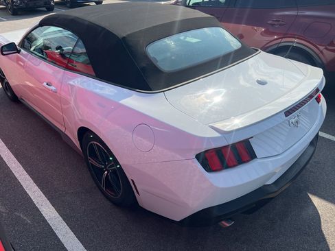 Used 2024 Ford Mustang Premium image 7