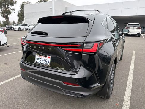 Used 2025 Lexus NX 350h AWD w/ Premium Package image 5