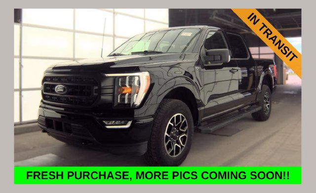 Used 2023 Ford F150 XLT w/ Equipment Group 302A High AWD/4WD image 1