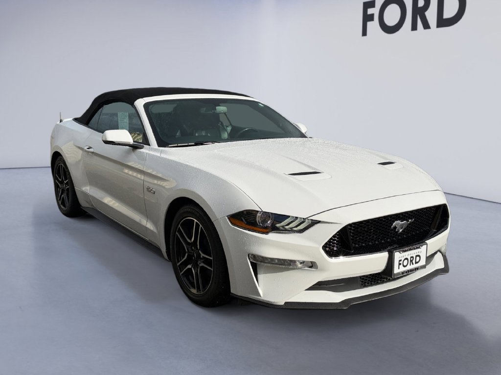 Used 2019 Ford Mustang GT Premium RWD image 9