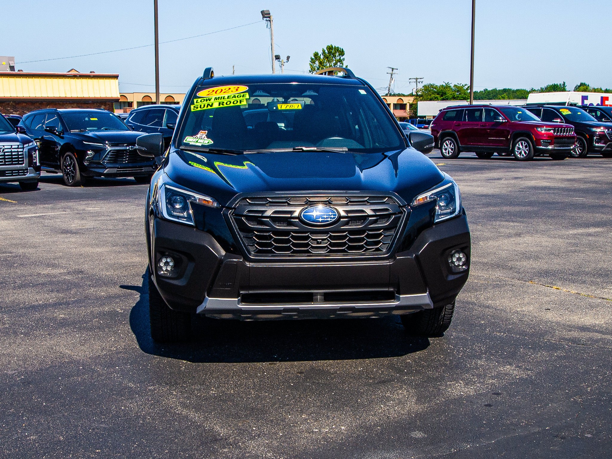 Used 2023 Subaru Forester Wilderness AWD/4WD image 2