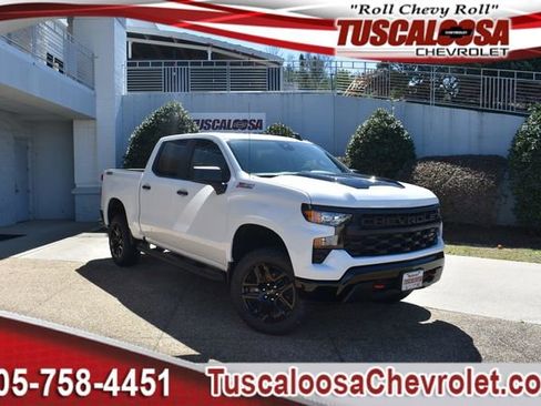 New 2026 Chevrolet Silverado 1500 Custom Trail Boss image 1