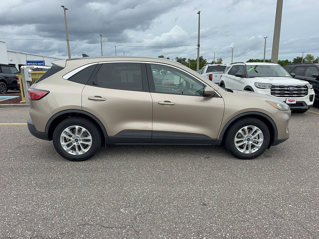 Used 2020 Ford Escape SE FWD image 5
