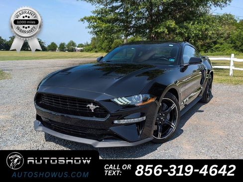 Used 2020 Ford Mustang GT Premium w/ Equipment Group 401A RWD image 1
