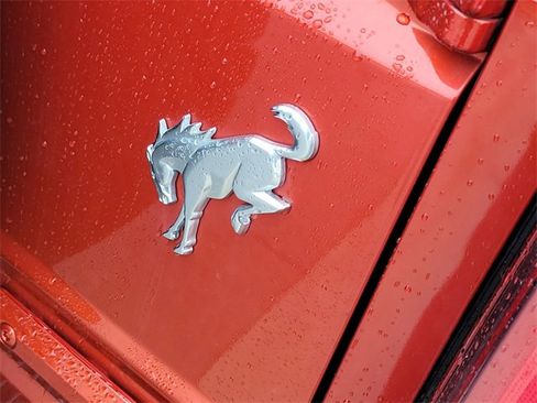 Certified 2024 Ford Bronco Badlands image 32