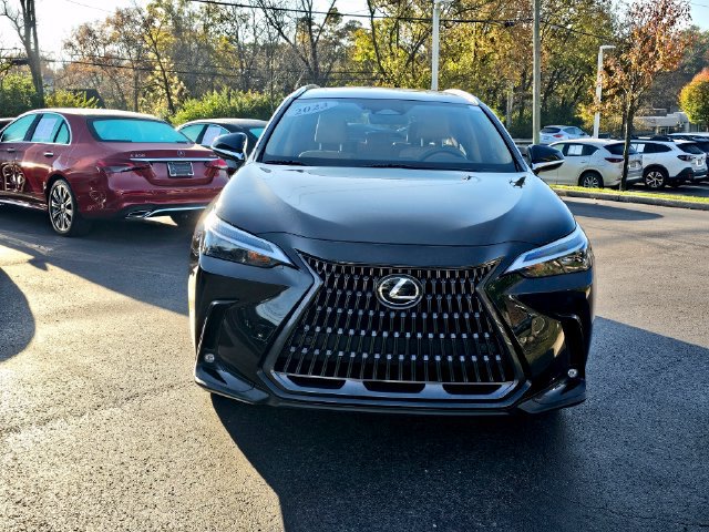 Used 2023 Lexus NX 350 AWD image 3