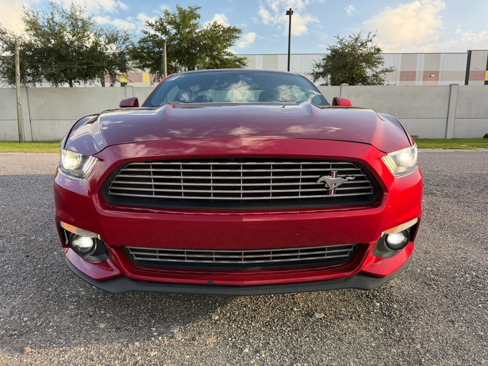Used 2016 Ford Mustang Premium w/ Equipment Group 201A RWD image 2