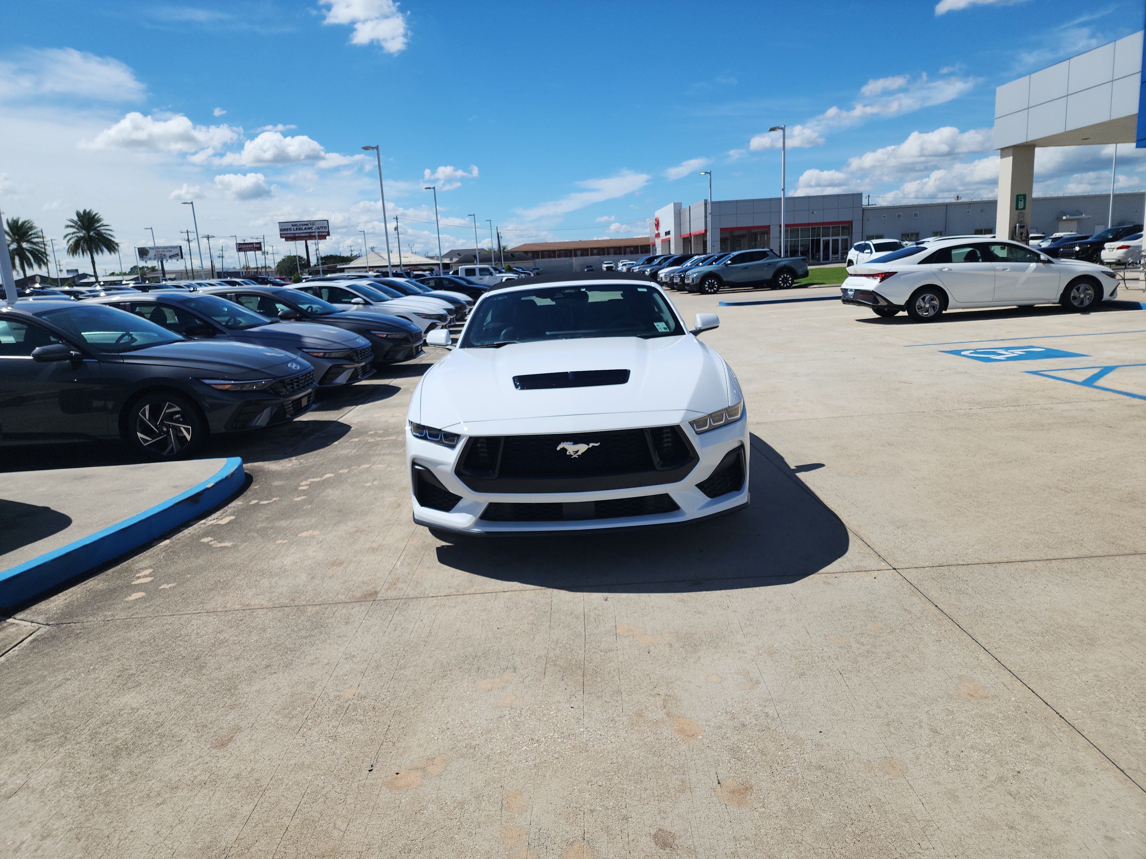 Used 2024 Ford Mustang GT Premium RWD image 2