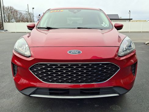 Used 2020 Ford Escape SE image 2