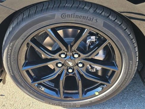 New 2026 Ford Mustang Coupe image 6