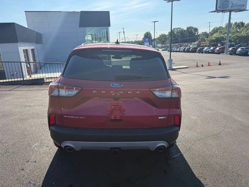 Used 2020 Ford Escape Titanium AWD/4WD image 7