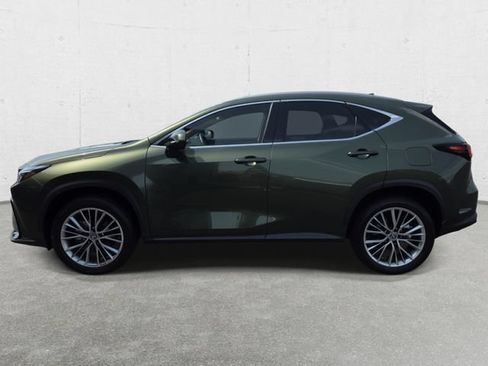 Used 2025 Lexus NX 350h AWD w/ Cold Area Package image 8