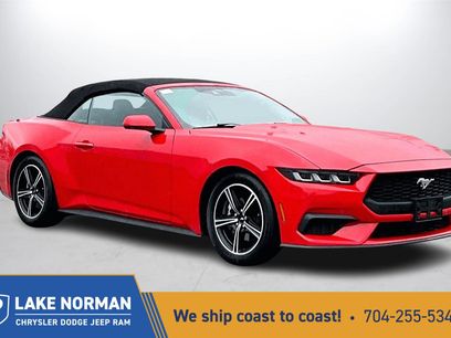 Used 2024 Ford Mustang Premium