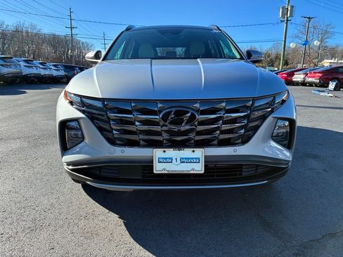 Used 2024 Hyundai Tucson Limited image 2