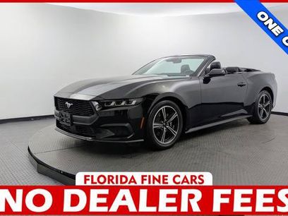 Used 2024 Ford Mustang Premium