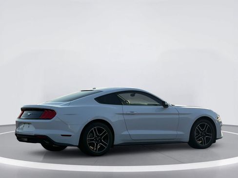 Used 2019 Ford Mustang Premium w/ Equipment Group 201A RWD image 4