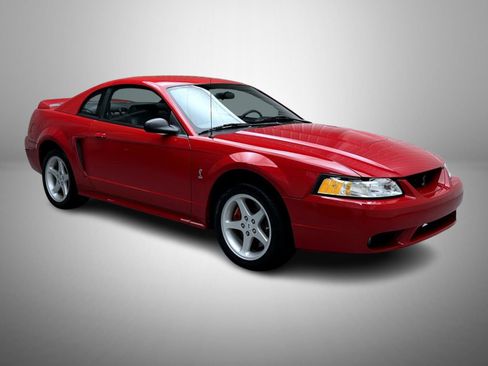 Used 1999 Ford Mustang Cobra RWD image 3