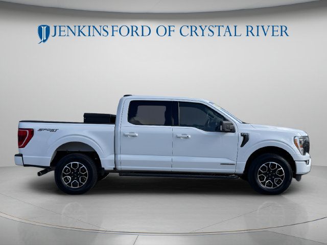 Used 2022 Ford F150 XLT w/ Equipment Group 302A High AWD/4WD image 2